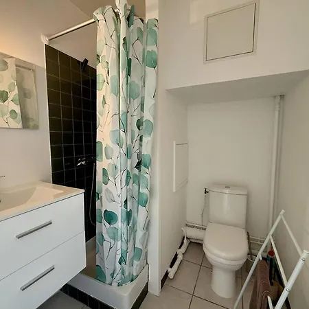 Aiguillon, Piscine, 2 Couchages - Fr-1-433-145 Appartement *